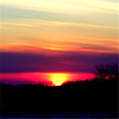 2023年新澳门今晚开特马下载手机版